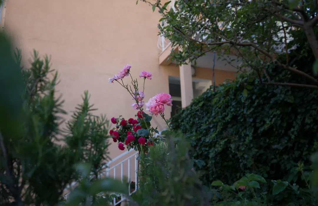 Villa Dubravka-1